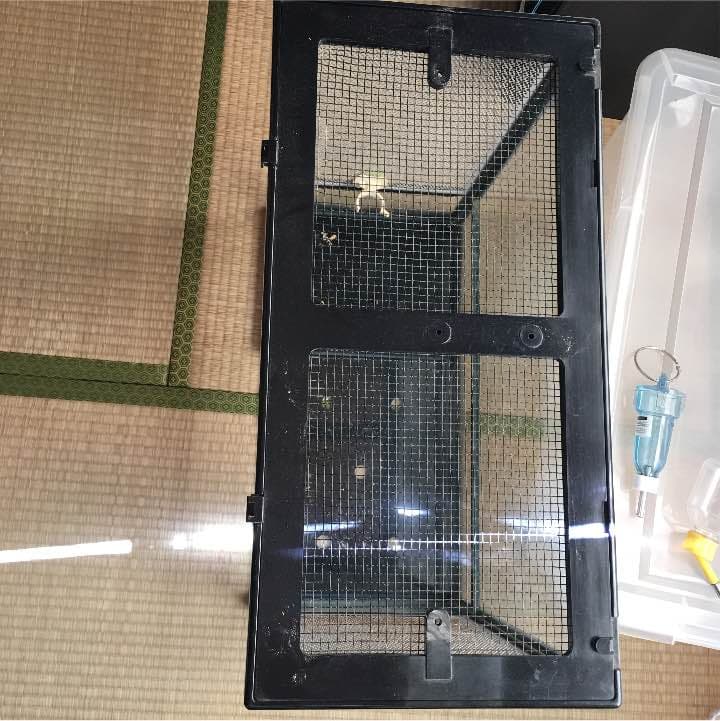 爬虫類ゲージ