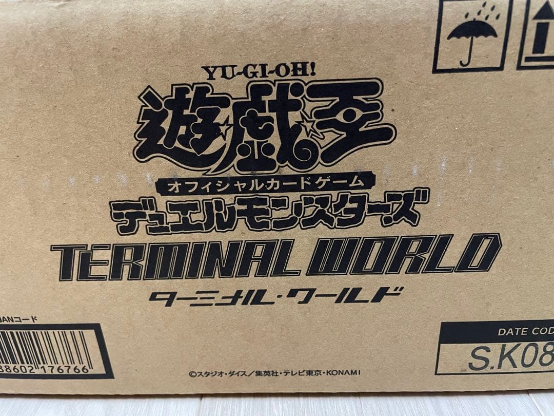 terminal world ターミナルワールド 1カートン 24box
