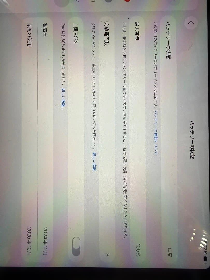 iPad本体 iPad
