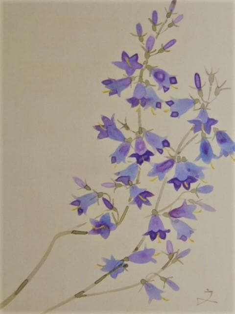 堀文子、【つりがねにんじん】、希少な画集画、新品高級額・額装付、状態美麗