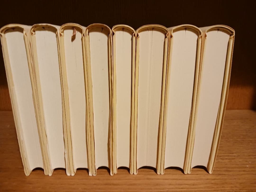 中井久夫著作集　１期２期全巻セット　岩崎学術出版社