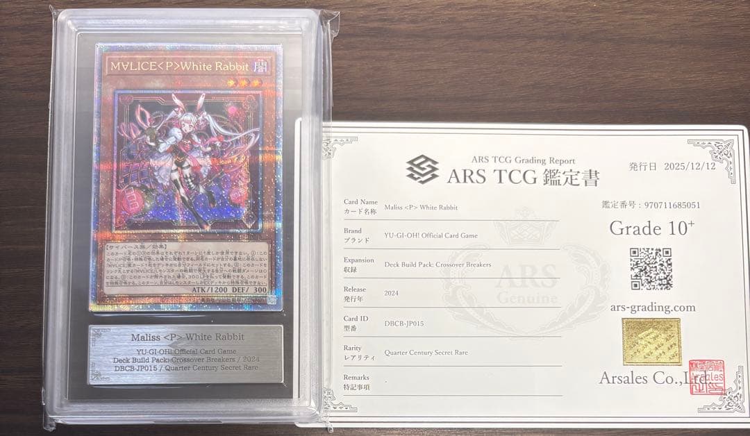 ARS10+ M∀LICE P WhiteRabbit 25th QCSE