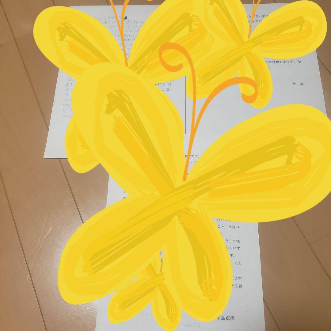 ⭐MAGGIE MAE【中島卓偉、TAKUI】、デモテープ、VHS.ポラ、写真