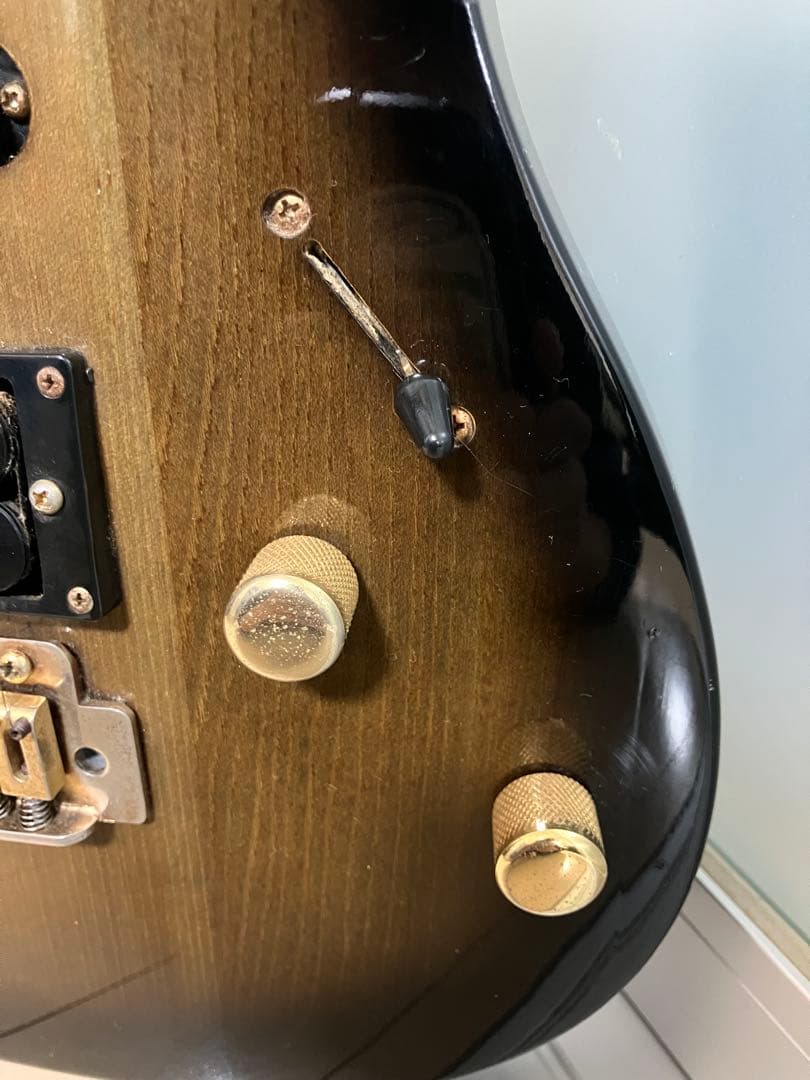 匿名発送　Aria ProⅡ MAGNA Series 1986年