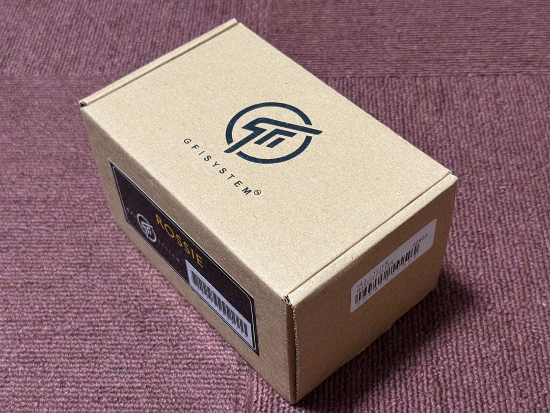 ギター GFISYSTEM ROSSIE FILTER