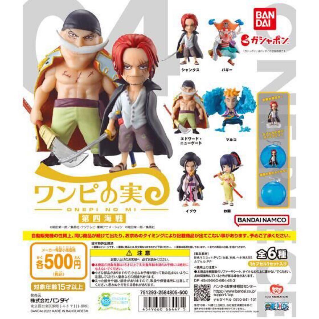 ワンピの実　　まとめ売り