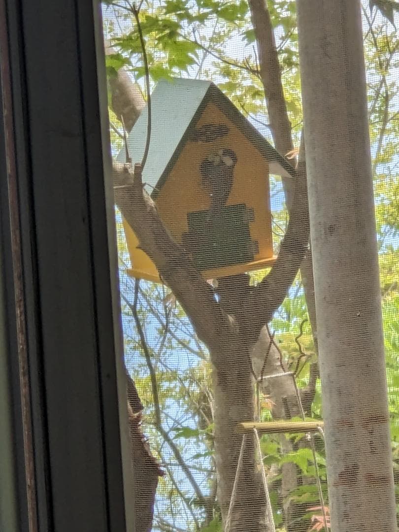 鳥の巣箱写真