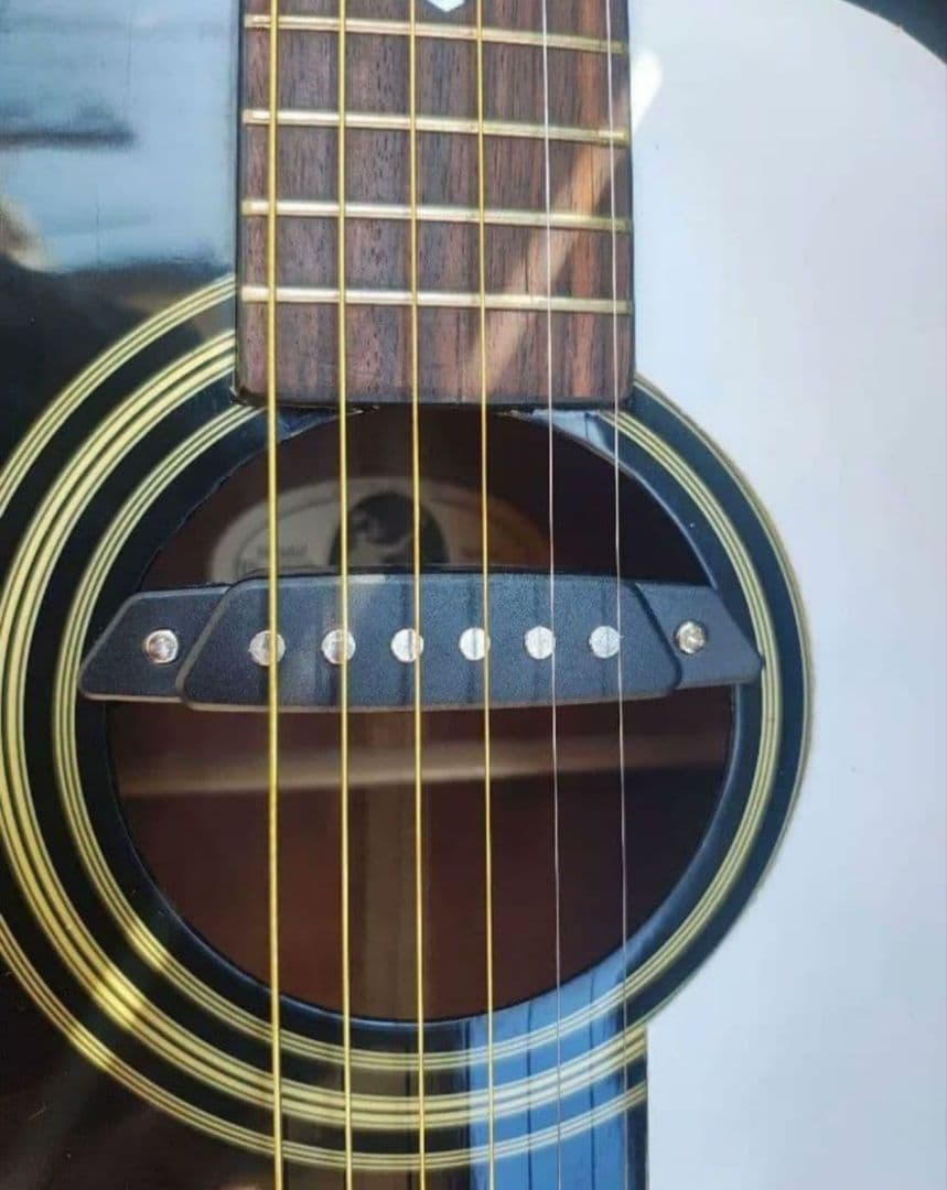 超美品 展示品 Epiphone PR-350B Wピックアップエレアコ