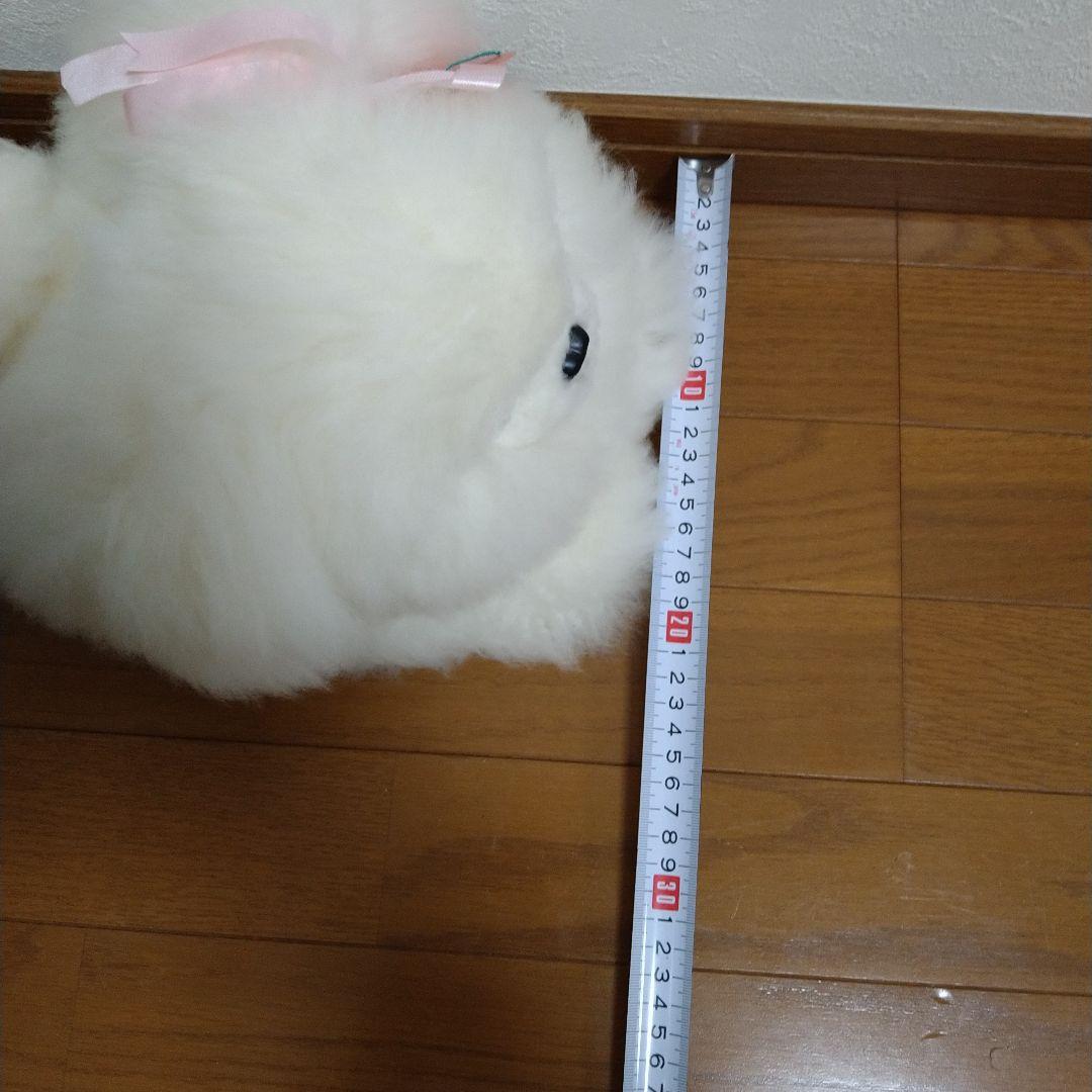 おはなです。