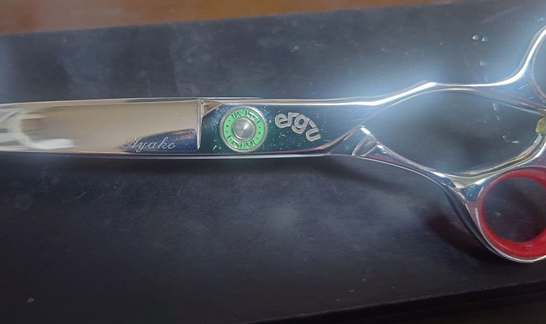 USTUMIハサミER700エルグ
