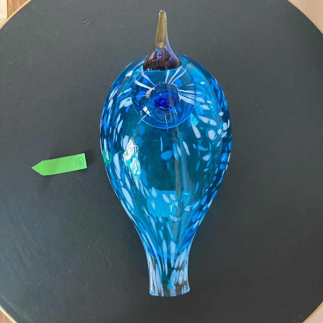 イッタラバード　ブルーフィンチ　blue finch ④