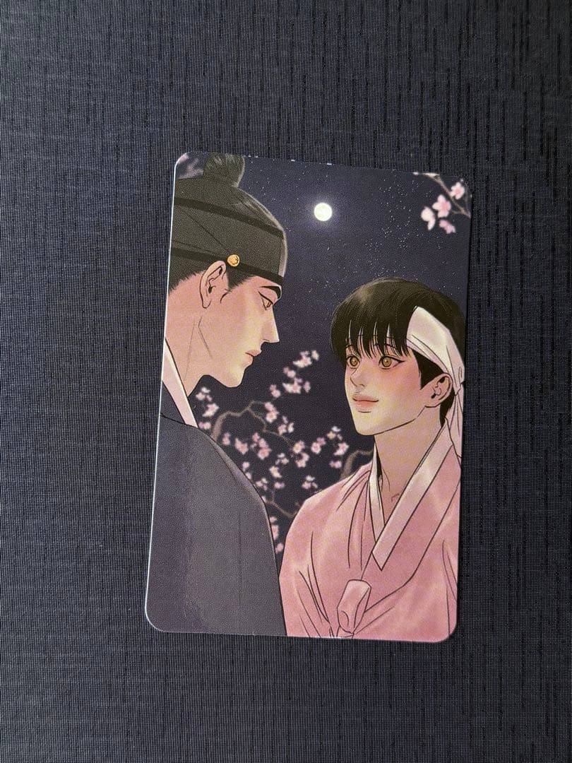 韓国BL 夜画帳