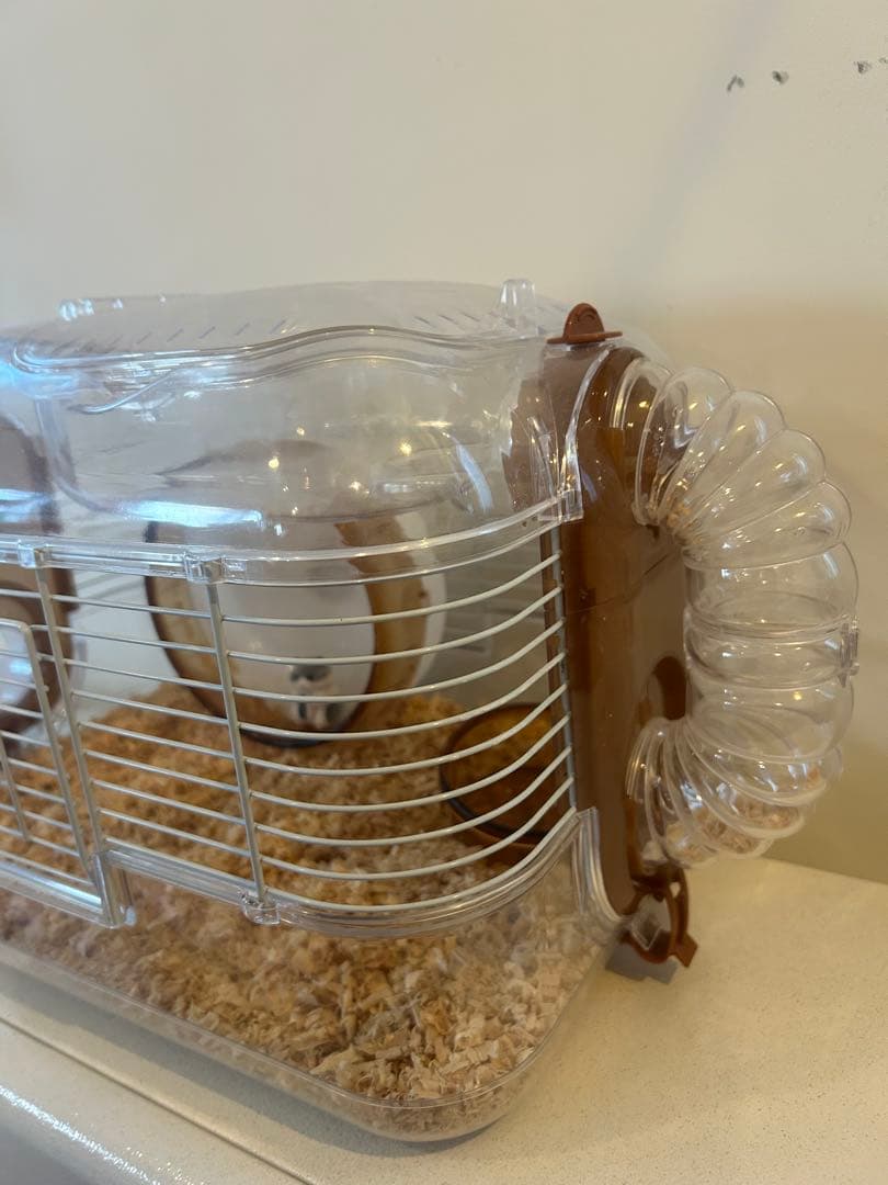 小動物用透明ケージ 中型 付属品付き、餌、トイレの砂、おがくず付き