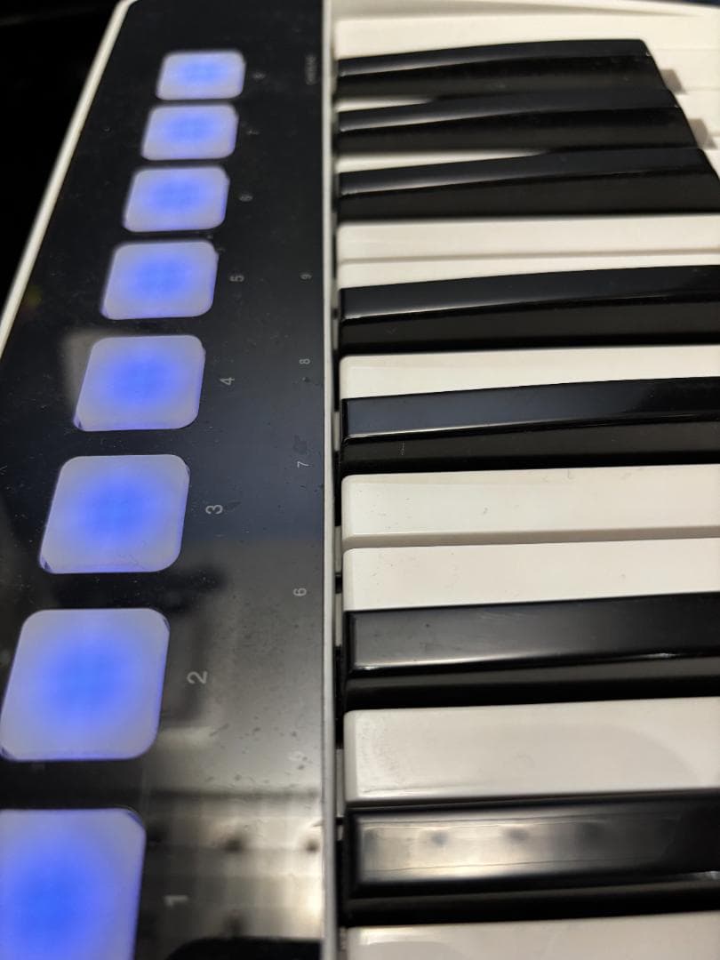 IK Multimedia iRig Keys I/O 49 本体、ケーブル