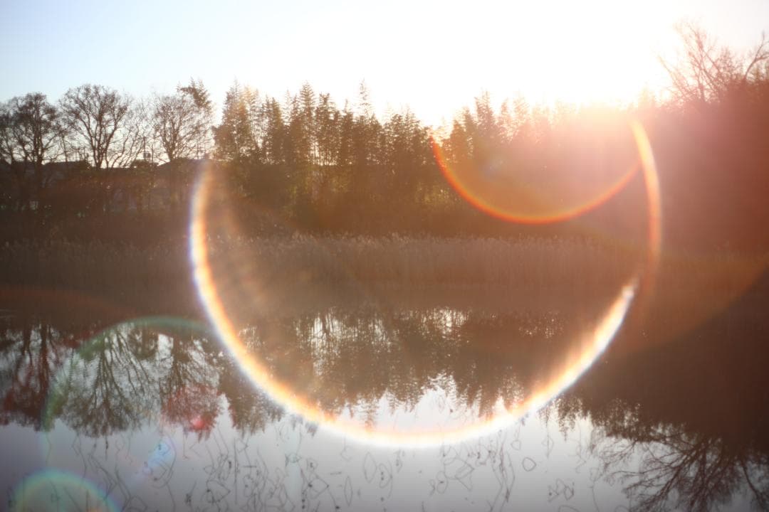作例あり☆整備済 Super-Takumar 50㎜ f1.4 スーパータクマー