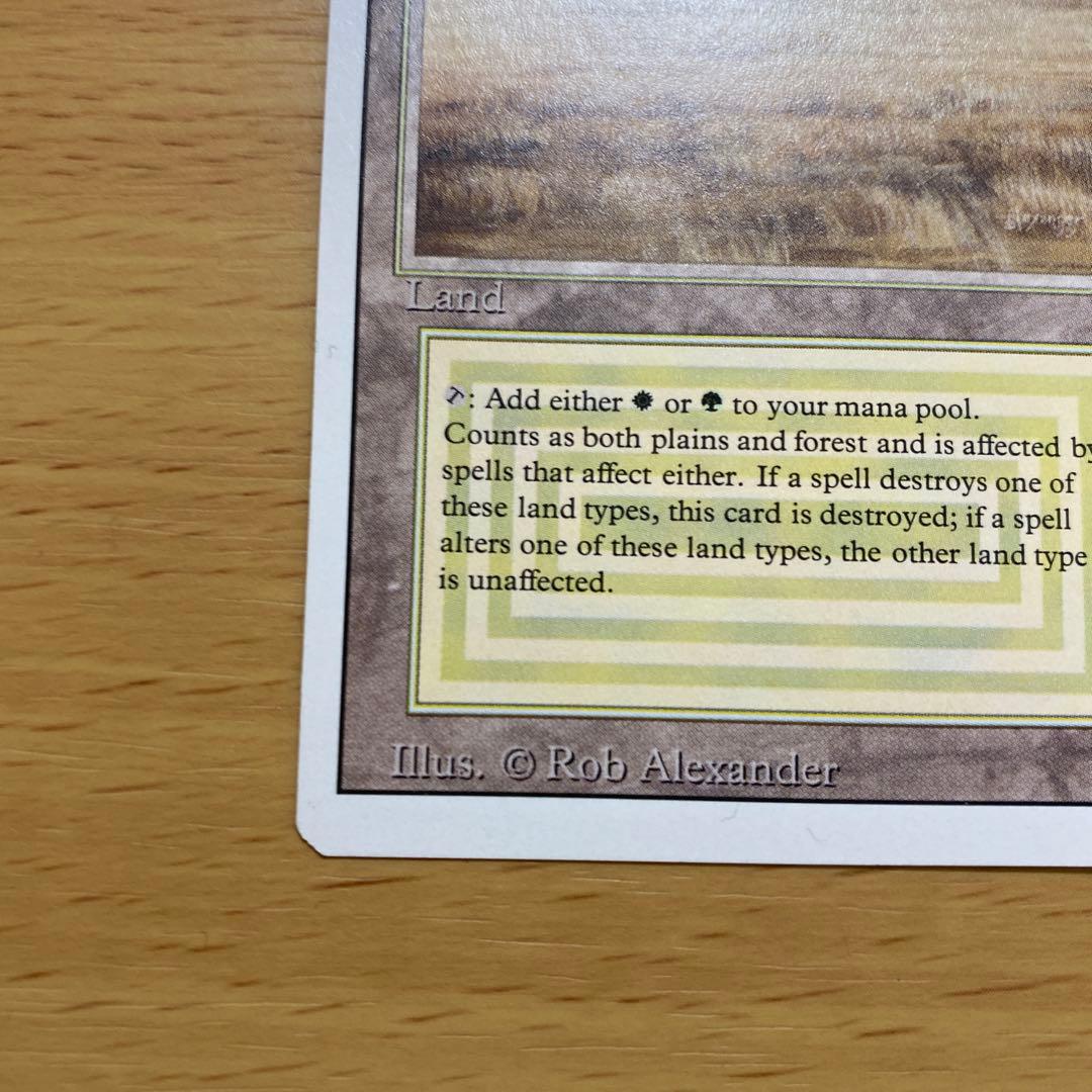 マジック：ザ・ギャザリング MTG Savannah