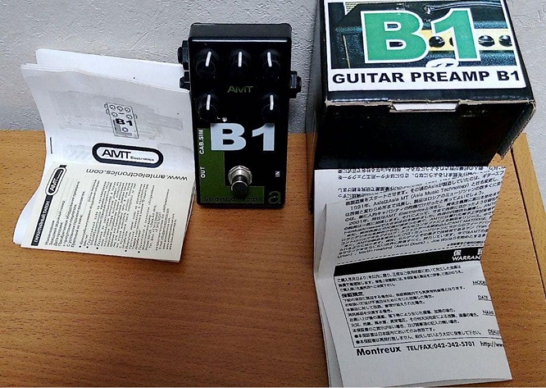 ギター AMT B1