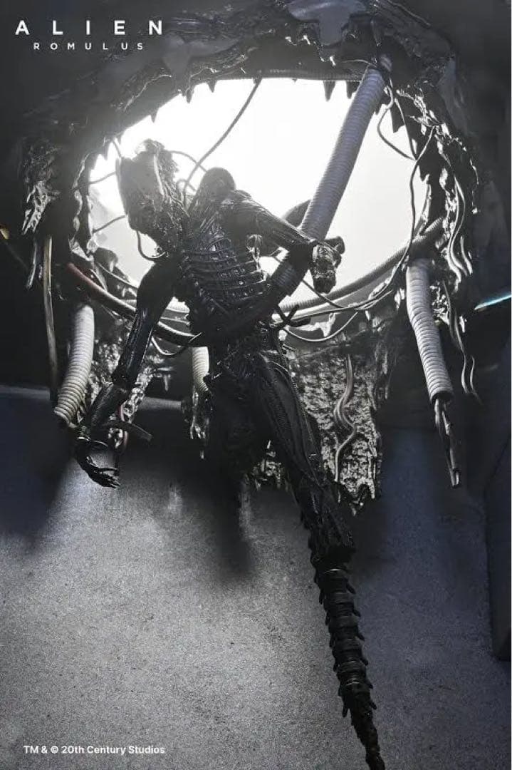 【日本未発売】NECA エイリアン: ロムルス ゼノモーフ XX121