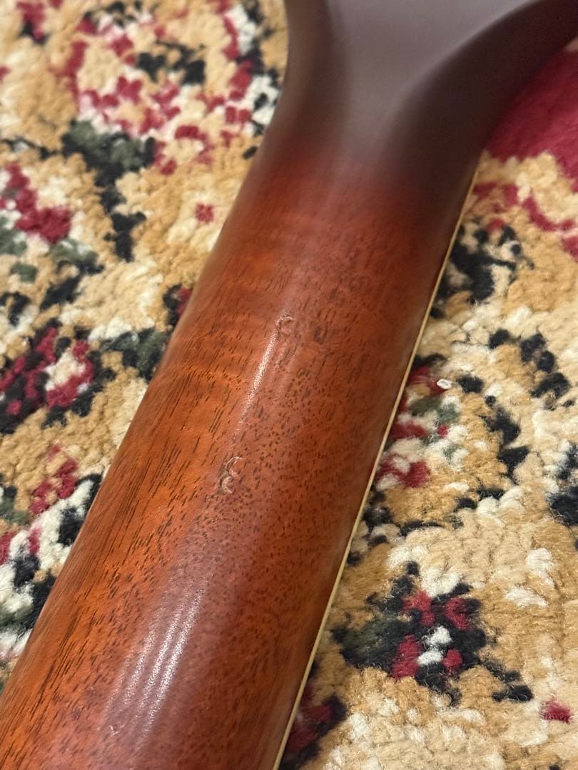 Taylor GS Series 2006年製