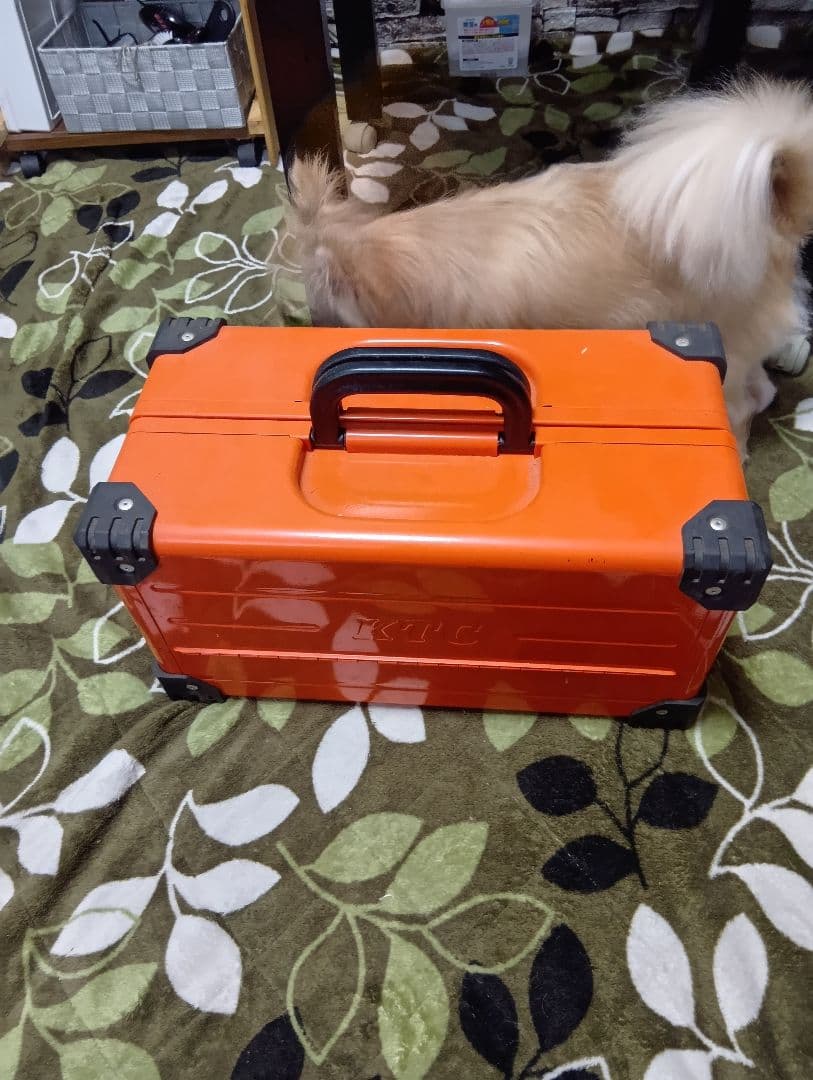 ともさん専用