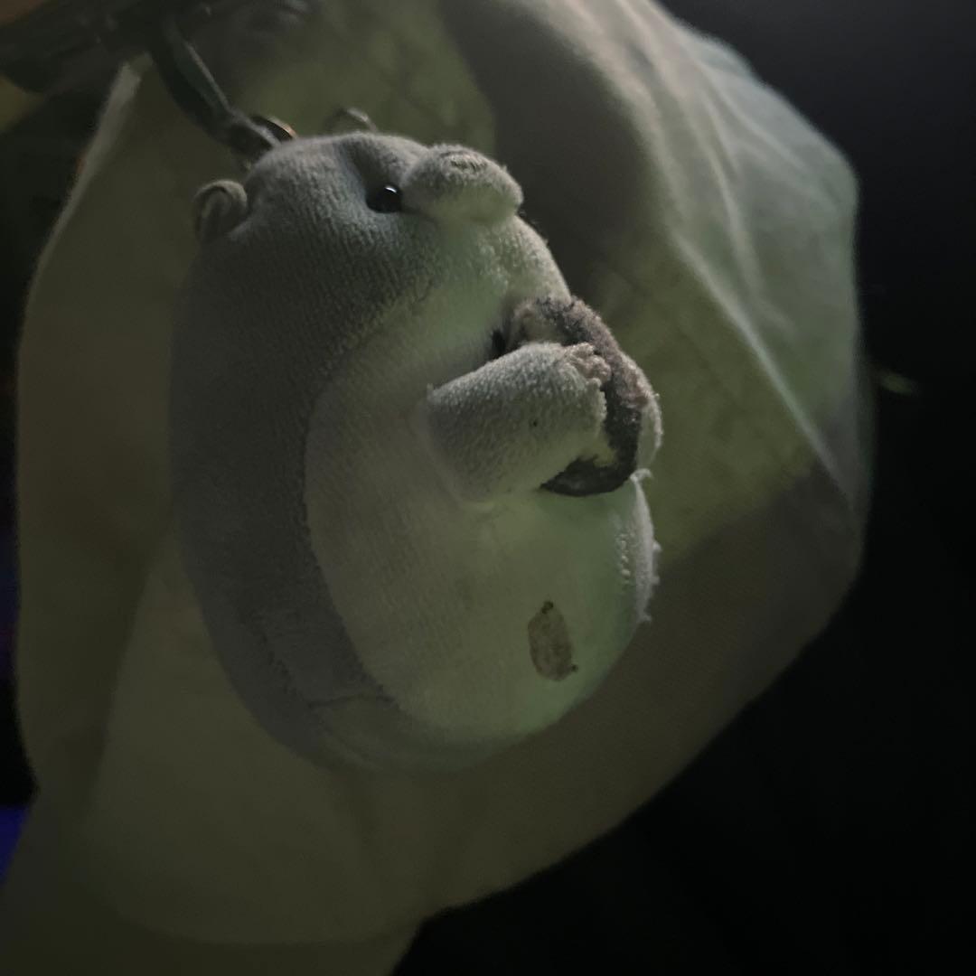ハムスケ