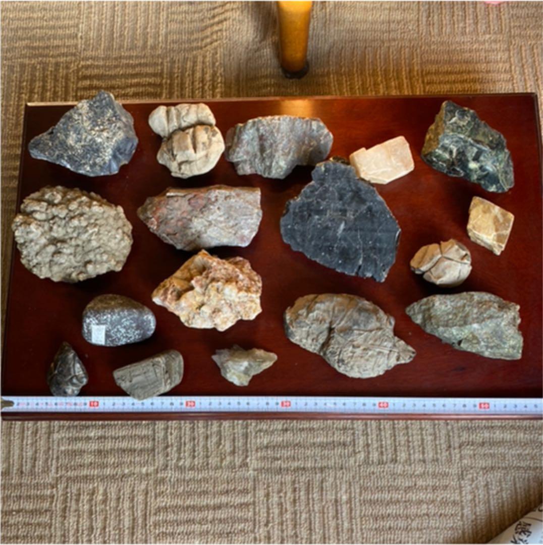 鑑賞石