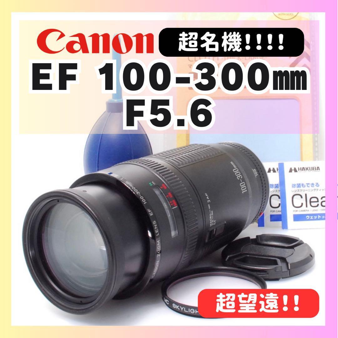 遠くの風景も人物もOK✨Canon EF 100-300✨超望遠レンズ✨キヤノン