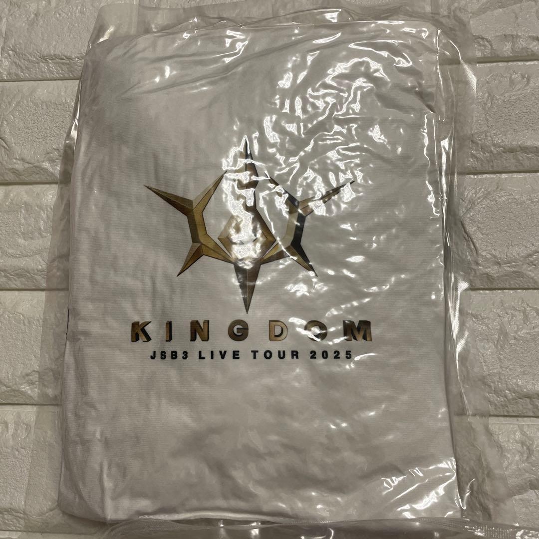 ミュージシャン RYUJI KINGDOM JSB3 LIVE TOUR 2025