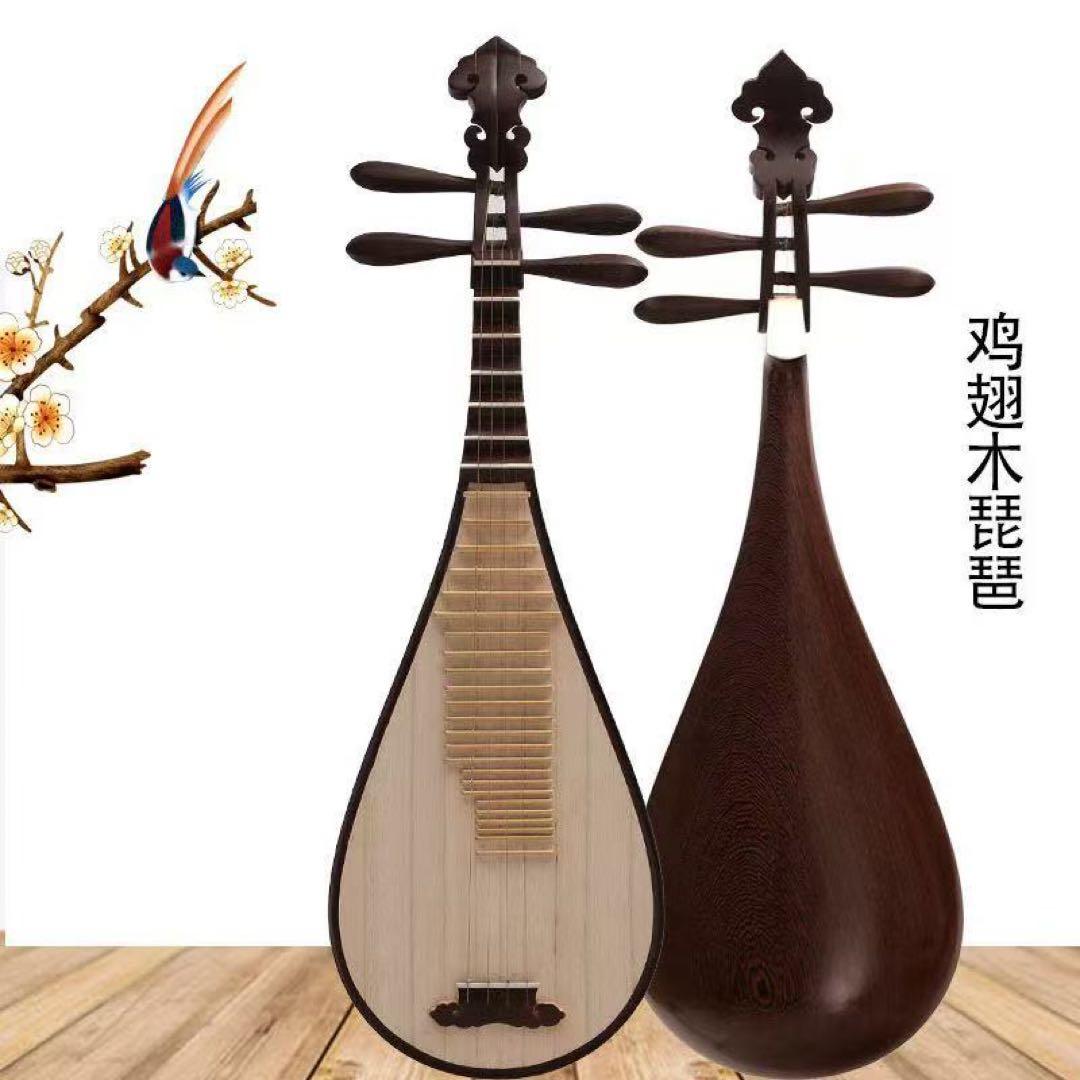 中国琵琶
