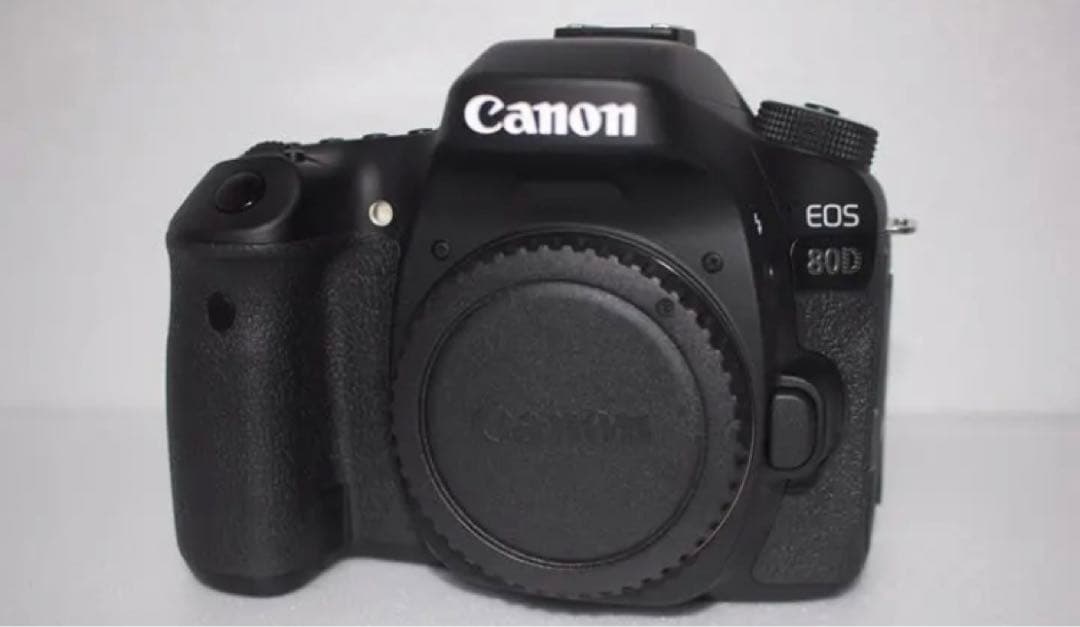 デジタル一眼レフカメラCanon EOS 80D/標準&望遠&単焦点レンズセット