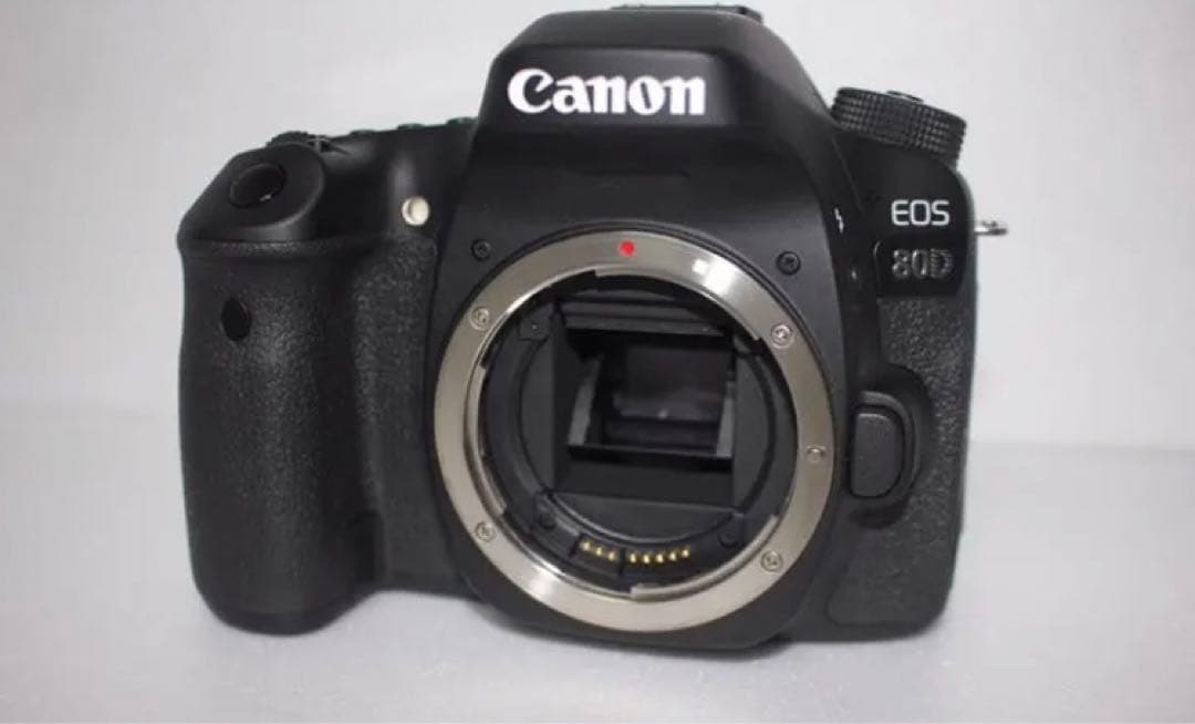 デジタル一眼レフカメラCanon EOS 80D/標準&望遠&単焦点レンズセット