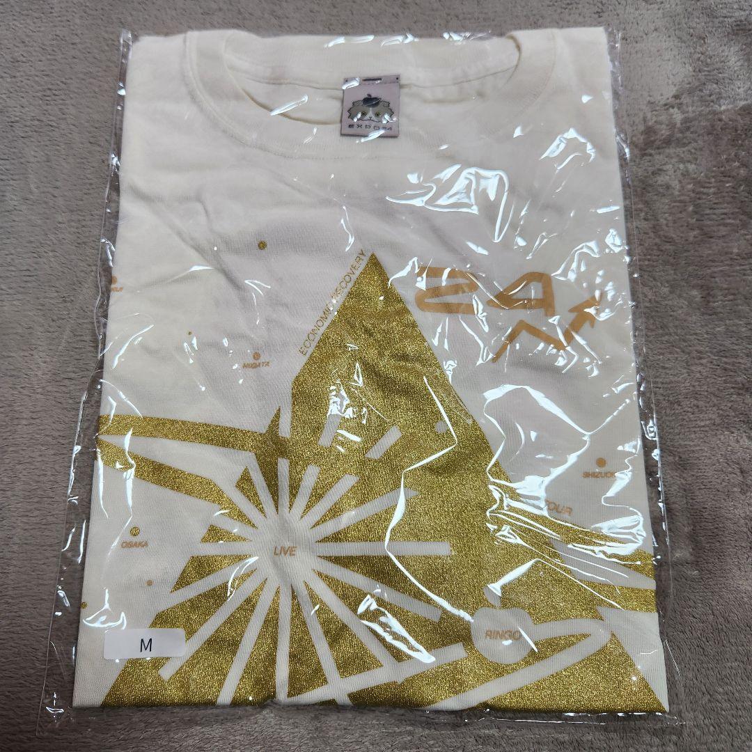 林檎博24 vivision 新潟限定Tシャツ
