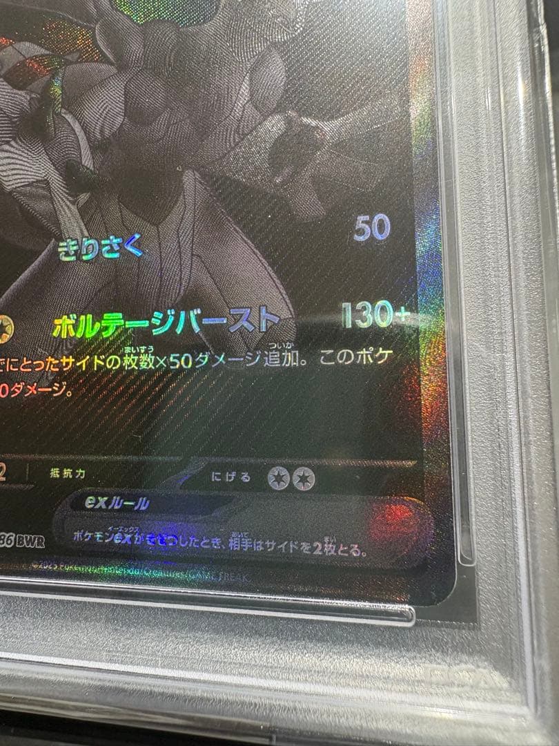 亀*様 【PSA10】ゼクロムex［BWR］SV11B ブラックボルト