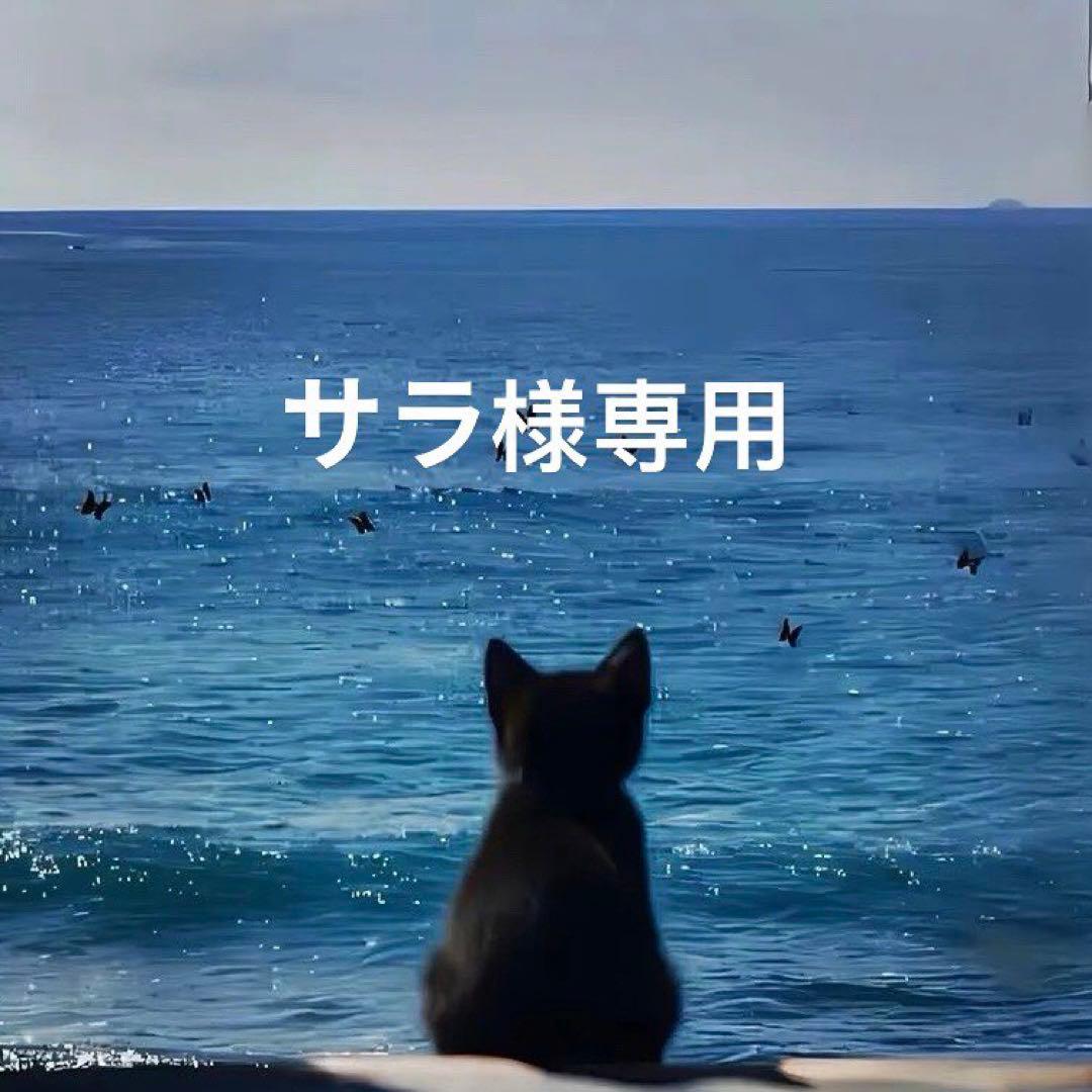 サラ