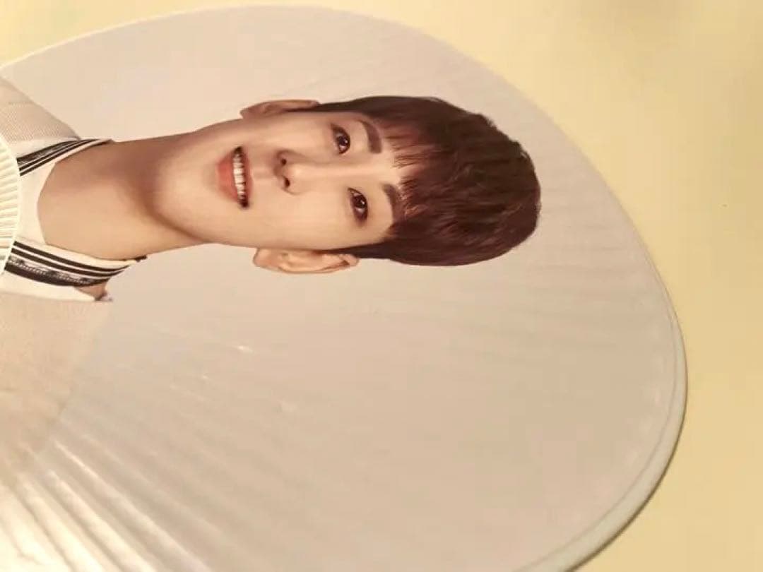 SEVENTEEN ウォヌ グッズ セット まとめ売り 画像5枚セット内容