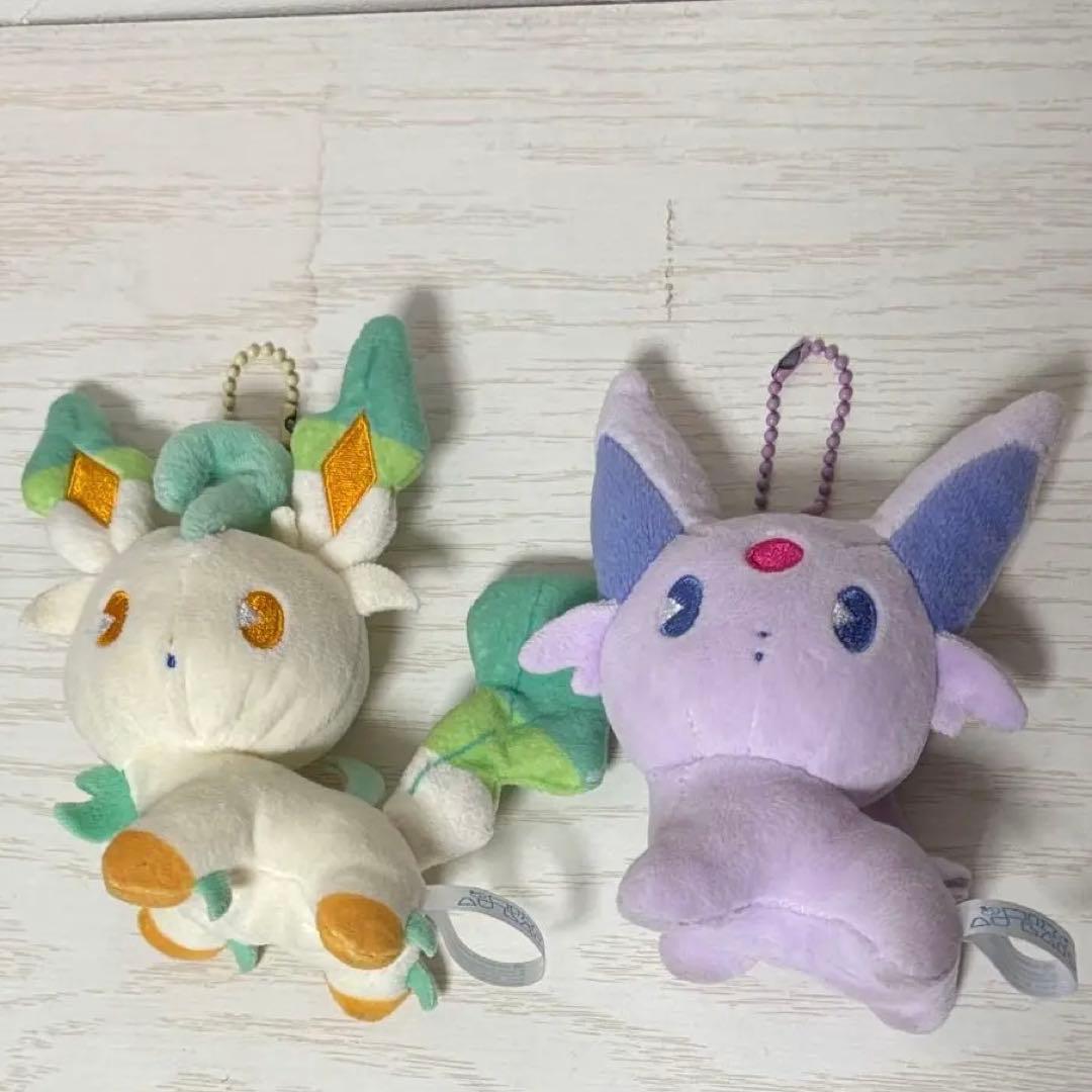 ポケモンセンター マスコット ミックスオレ ブラッキー、エーフィ 2018年