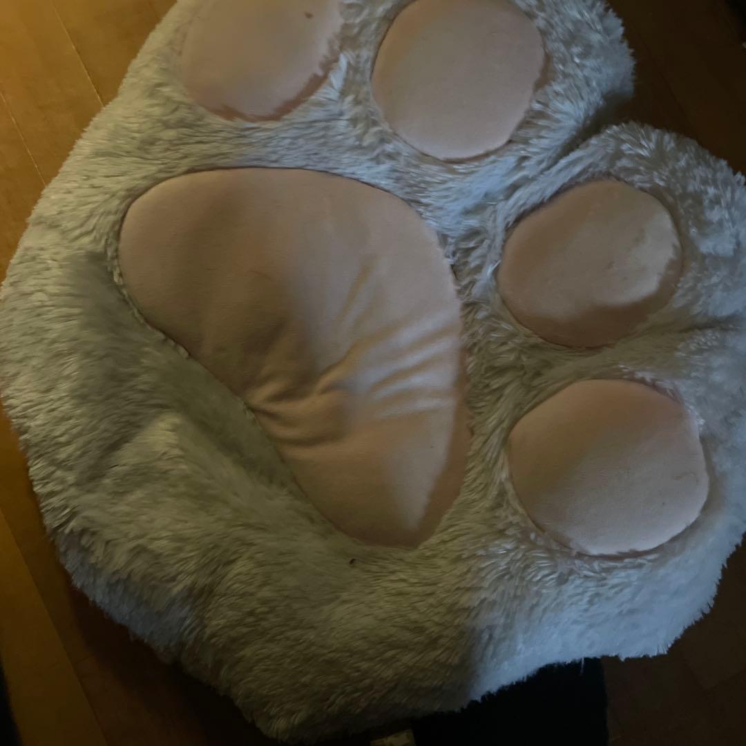 猫の手