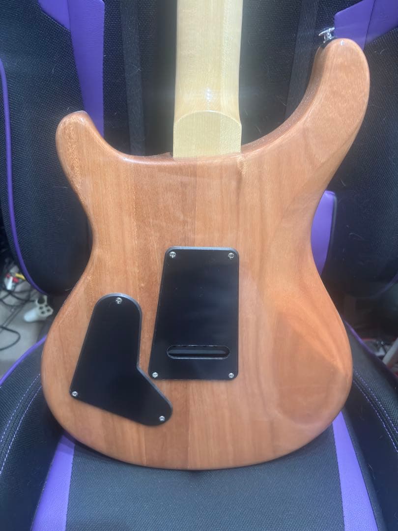 ギター Paul Reed Smith(PRS) SE Custom 24-08