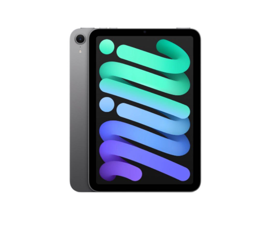 iPad mini(第7世代) Wi-Fi 128GB スペースグレー
