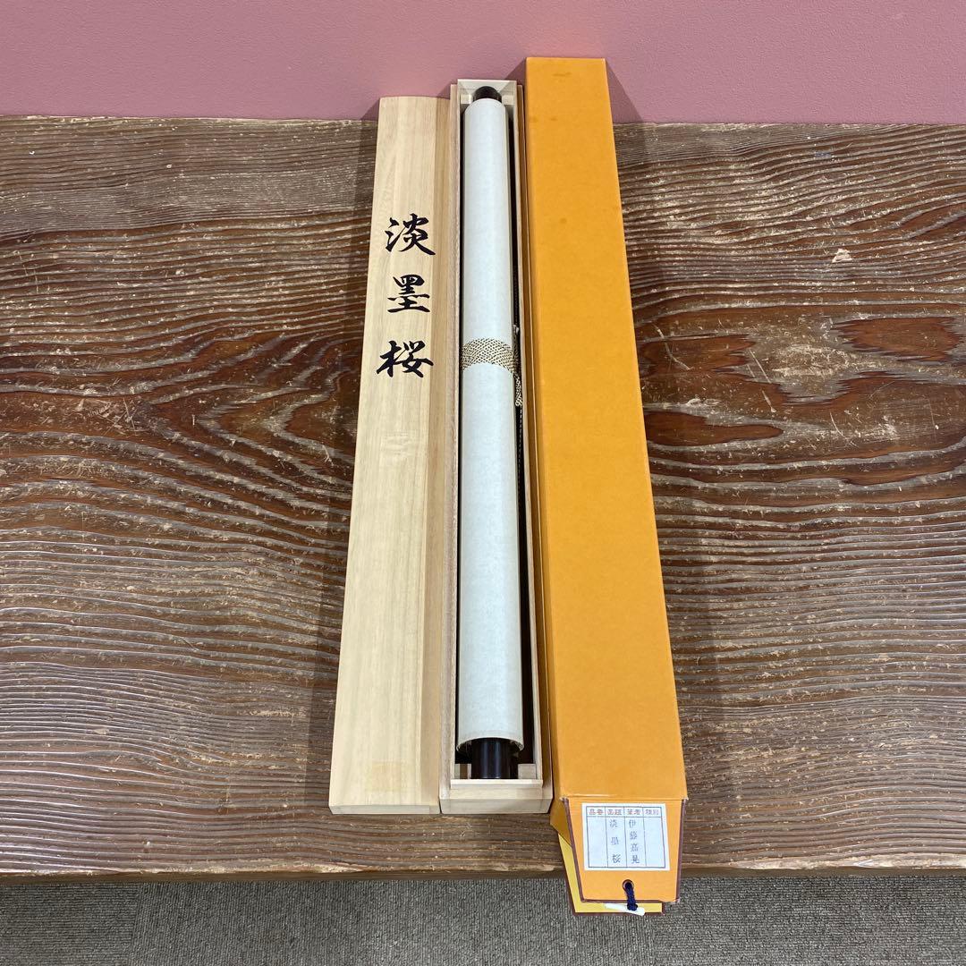 美品 掛け軸 伊藤嘉晃作 淡墨桜図 さくら 縁起物 美術年鑑掲載