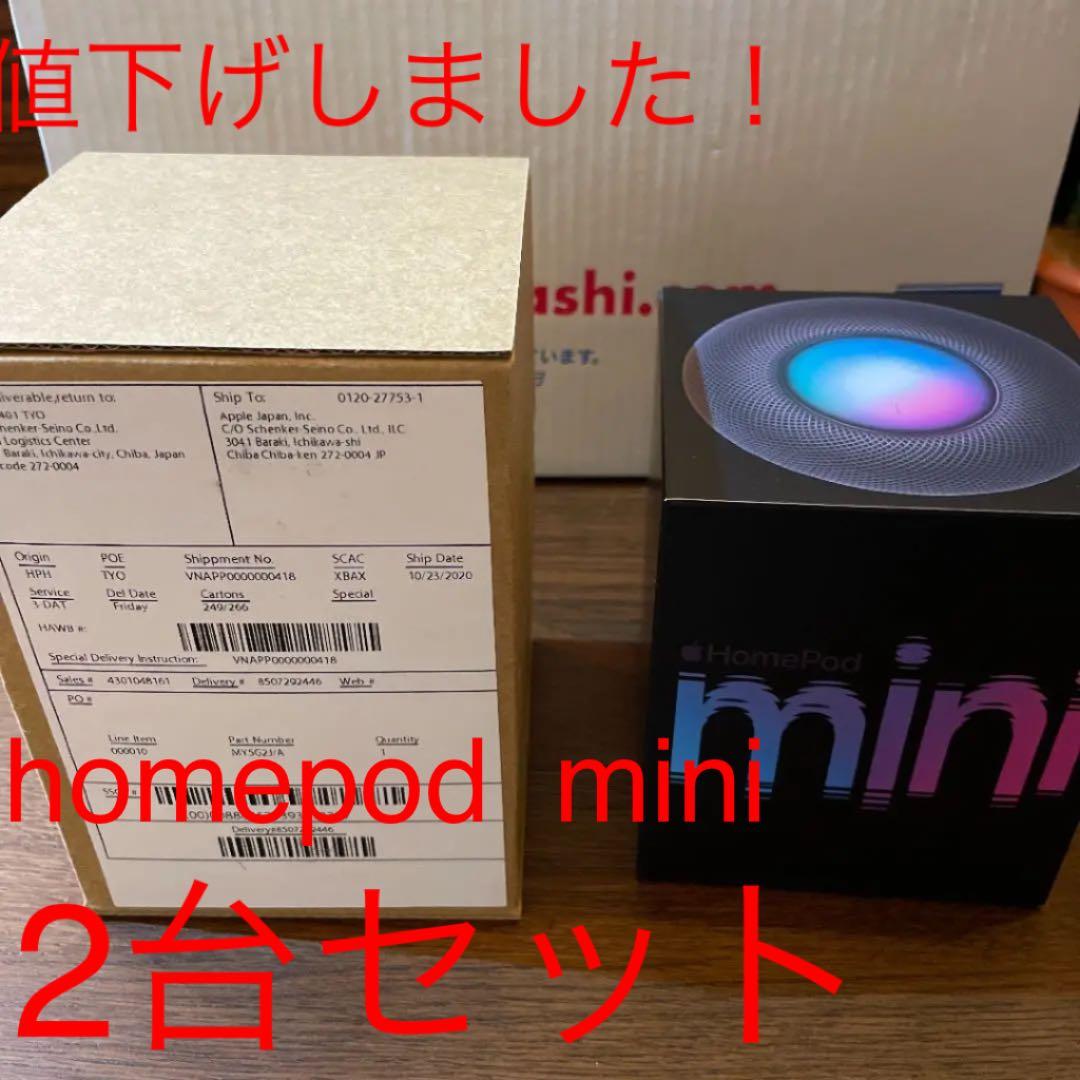 Apple Pod mini 2台セット