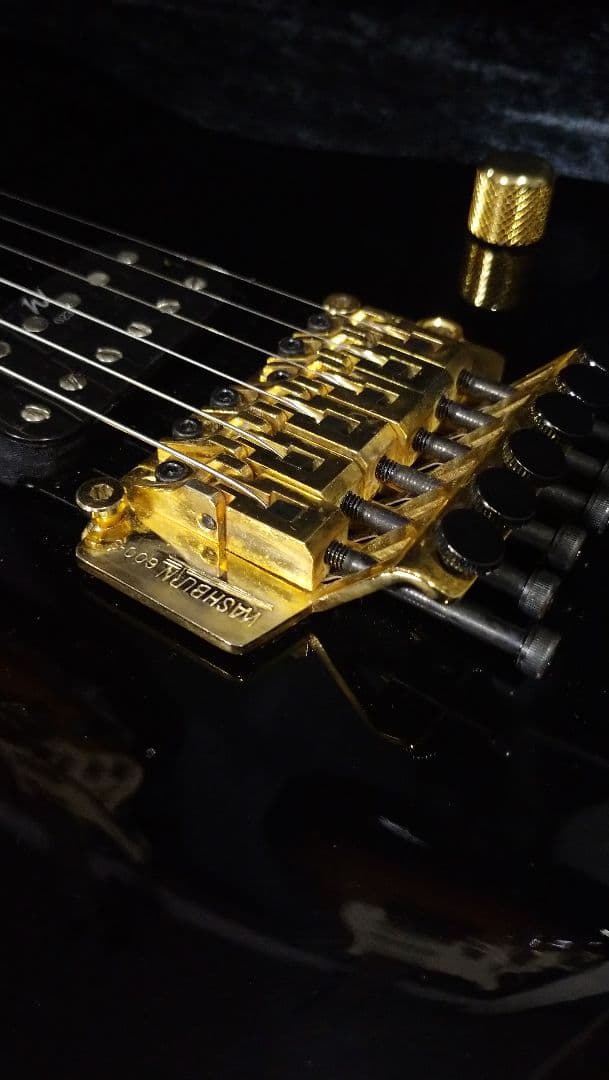 ギター Washburn SS-40 B / STEVE STEVENS model