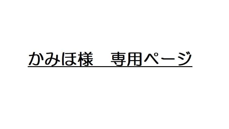 かみほページ
