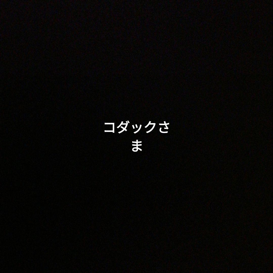 コダック様