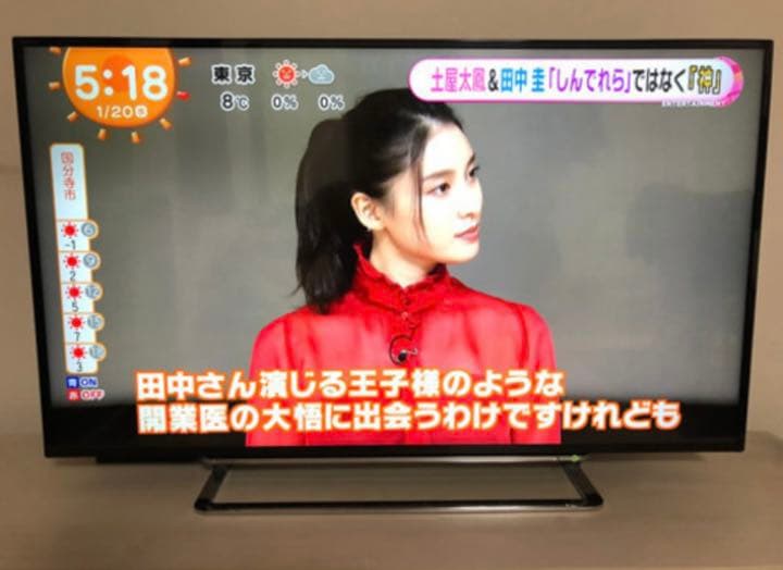 REGZA 49型
