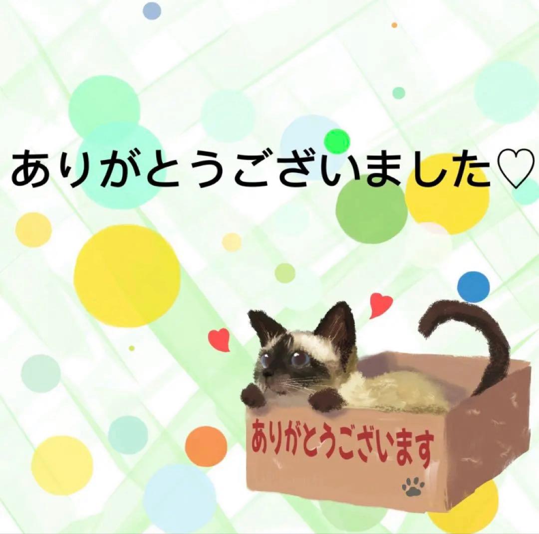 【9265】海外　マステ　中古巻　貝殻光マスキングテープ　人物系