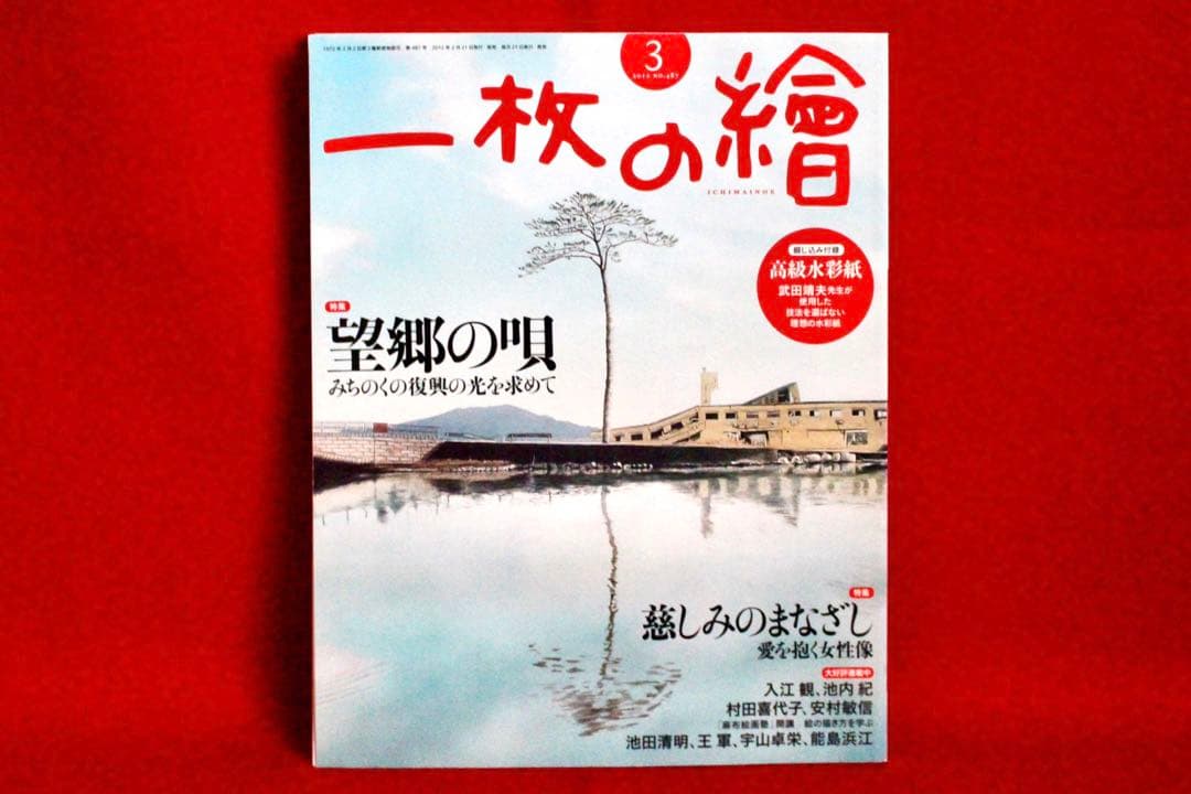 花乙女コレクション【桶田洋明　夕刻】購入金額より60％お値引き！！