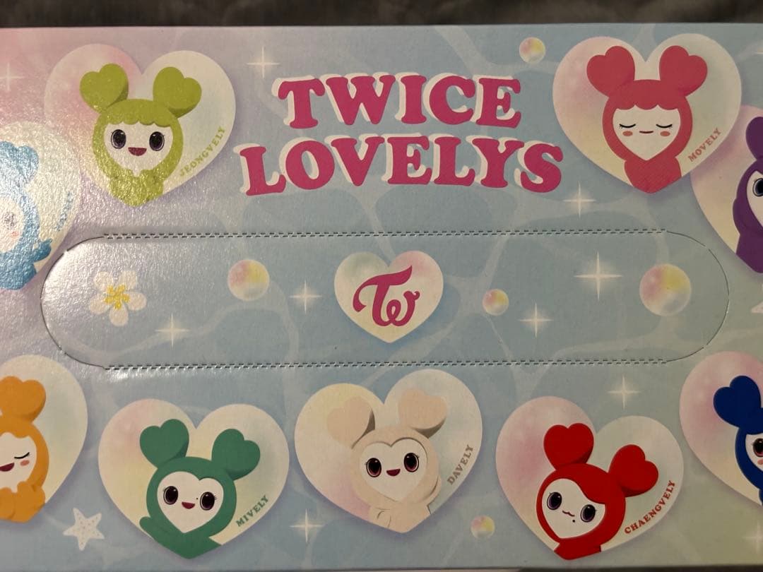 TWICE チェンブリーグッズセット