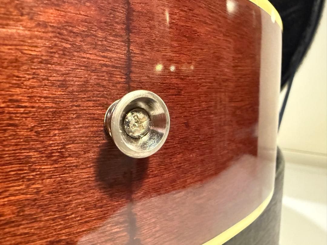 Ibanez アコースティックギター ハードケース付