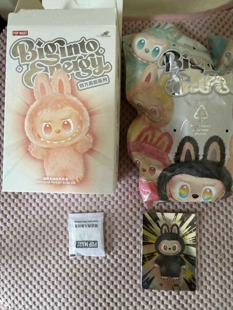 ゼニガメ公式